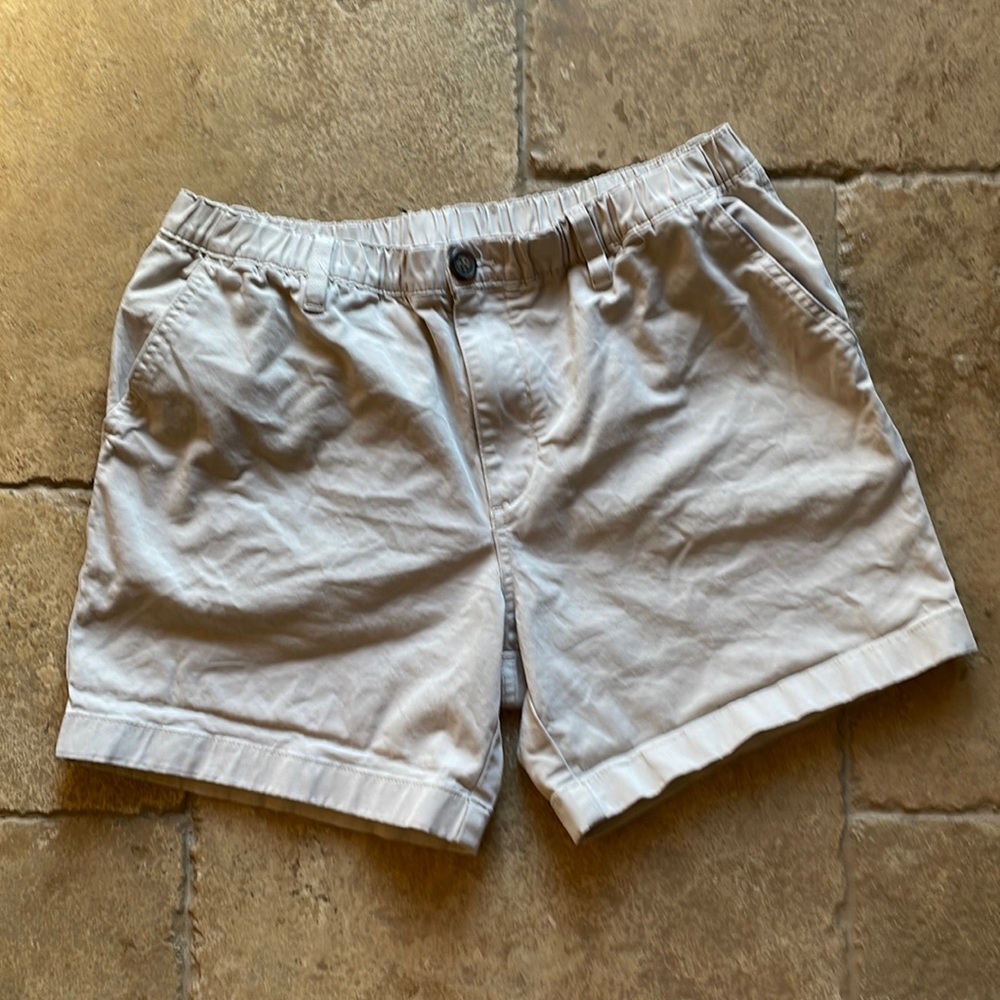 Chubbies mens shorts